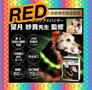 光る首輪 犬用 レッド 散歩用首輪 USB充電式 サイズ調整可能 安全対策 3段階点灯