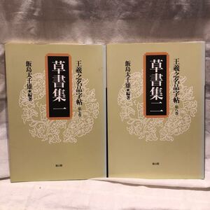 王羲之名品字帖 第7巻 草書集1 草書集2 二冊セット