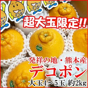 【Good】超大玉！JA熊本果実連！熊本産 デコポン 4～5玉 約2kg ご予約