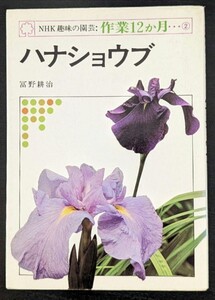 ハナショウブ （ＮＨＫ趣味の園芸・作業１２か月　２）