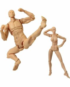 デッサン用 モデル人形 男女2点セット 人形 可動式 漫画模型 筋肉質体型 全身ドール ドールタイプ 美術 スケッチ 人形 男性 女性 素体 