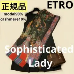 洗練されたデザイン　ETRO 正規品　大判ショール　 希少サイズ