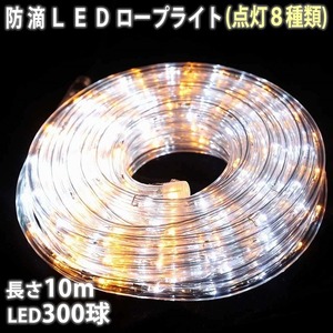 クリスマス 防滴 LED イルミネーション ２芯 丸型 ロープライト １０ｍ ２色 白 ・ シャンパン ８種類点滅 Ａコントローラセット