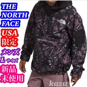 新品 未使用 THE NORTH FACE ノースフェイス ブルゾン アノラック USA限定 日本未発売 RAADIK GORE-TEX スノージャケット メンズ L 10万円