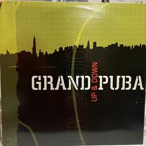 GRAND PUBA / UP & DOWN 12インチレコード ラップ、hiphop