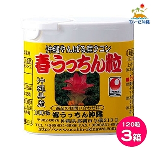 【送料込 定形外郵便】うっちん沖縄 春ウコン 春うっちん粒 携帯用 120粒 3箱セット