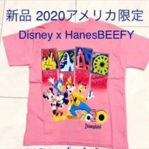 w 新品 限定品◆ディズニーパークスTシャツ カットソー◆HanesBEEFY レア　送料無料