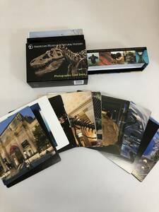 中古品 AMERICAN MUSEUM OF NATURAL HISTORY Photographic Card Deck 2202m133