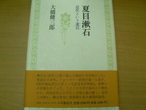 夏目漱石 近代という迷宮　大橋 健三郎　　ｘ