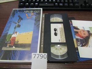 л7790　【VHS】西田ひかる / 天使に逢いたい