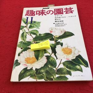 Y38-132 NHK 趣味の園芸 11月 サザンカ 私の花づくり ベゴニア 野ギク 園芸作業 盆栽のたのしみ 植物園を訪ねて 付箋付き 昭和49年発行