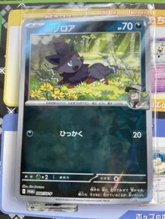 ポケモンカード　Nのゾロア