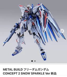 METAL BUILD フリーダムガンダム CONCEPT 2 SNOW SPARKLE Ver.