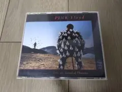 PINK Floyd Delicate Sound of Thunder CD