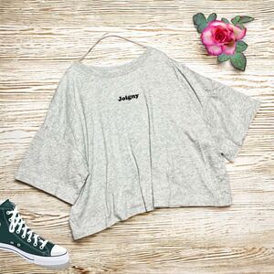 ローリーズファーム LOWRYSFARM【F】Tシャツ カットソー ショート丈 グレー系 トップス 半袖