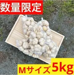 【年末セール】新物 青森県産にんにく 5kg M 福地ホワイト 加工 激安