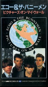 H00015499/VHSビデオ/エコー&ザ・バニーメン (ECHO ＆ THE BUNNYMEN)「Pictures On My Wall (1984年・35P8-9024・ニューウェイヴ・ポスト