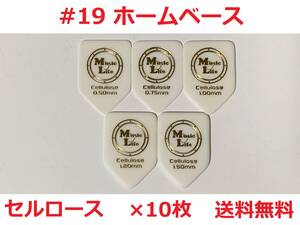 【1.00mm×10枚】 リッチー ブラックモア ホームベース セルロース 五角形 MLピック 【#19】【送料無料】