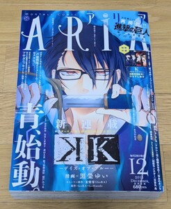 ☆付録付き■月刊 ARiA アリア/2013年12月号/表紙：K -デイズ・オブ・ブルー-(黒榮ゆい)