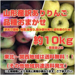 a18山形産訳ありりんご 約10kg〈訳あり家庭用〉