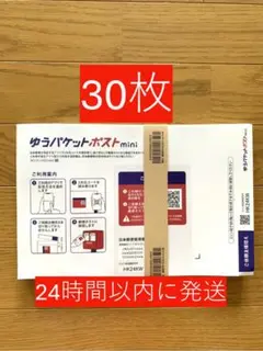 ゆうパケットポストミニ専用封筒30枚