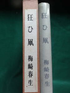 狂い凧 　＜長篇小説＞　梅崎春生 　昭和38年　 講談社 　初版　帯付