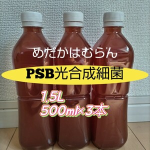 【1500ml】PSB光合成細菌②【めだか_はむらん】psb メダカ 水質浄化　農業　土壌改良　ウドンコ病防止　無農薬 