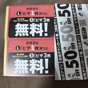 匿名配送無料！ドミノピザ クーポン Lサイズピザ1枚買うとSサイズピザ3枚無料 2枚