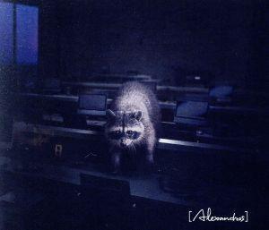 Beast(初回限定盤)(Blu-ray Disc付)/[Alexandros]