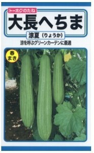 ヘチマ 大長へちま 涼夏 種子 野菜のたね 家庭園芸