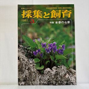 採集と飼育 1981年3月号★特集 新春の七草/アカネスミレ/目で見るリモートセンシング/湿原の植生をしらべる/生物の知識・観察と実験/動植物