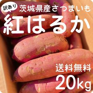 【訳あり野菜】茨城県産　さつまいも　紅はるか　土付き　20kg 