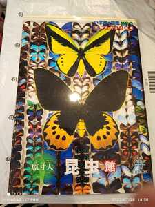 小学館の図鑑 NEO 本物の大きさ絵本 原寸大 昆虫館 縦37cm