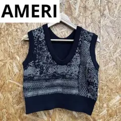 Y241210-32 AMERI ニットベスト FREEサイズ