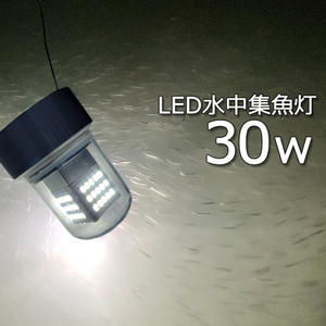 しらすうなぎ イカ釣り LED集魚灯 ホワイト 白色 30W DC12v24 水中ライト 水中イルミネーション 夜釣り 水中集魚灯 仕掛け シラスウナギ