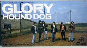 「GLORY」HOUND DOG CD