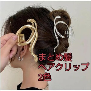 現品限り！まとめ髪 ヘアクリップ バンスクリップ メタルライン 大きめ おしゃれ ループ レディース ゴールド シルバー 2色セット②