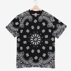 Supreme Hanes Bandana Tagless Tee 2 Pack