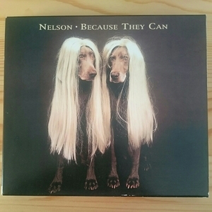 ☆美品紙ジャケットあり☆再生確認済☆ ネルソン／ビコーズ・ゼイ・キャン／Nelson／because they can