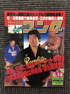 週刊ゴング 1990年6月14日号 / 天龍、9月にWWFにサーキット参加