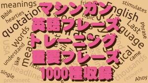 とことん 英語フレーズ 学習教材 重要フレーズ 1000種収録/ TOEFL 暗記 ビジネス 高校 大学 受験 英検 資格 暗記 英会話 リスニング TOEIC