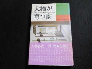 13V4015◆大物が育つ家 ミサワホーム総合研究所☆