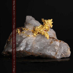 4.39gの石英から飛び出す立体的な自然金《商品番号G0386》