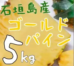 【送料込み】石垣島のゴールドパイン（サイズ/個数おまかせ）5kg
