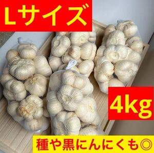 【大特価】青森県産にんにく 4kg L 福地ホワイト 加工 激安 お買い得