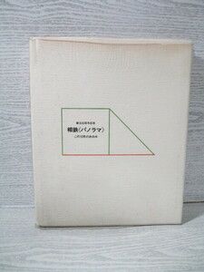 ◎相鉄《パノラマ》 この10年のあゆみ