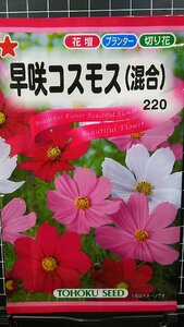 ３袋セット早咲 コスモス 混合 秋桜 種 郵便は送料無料