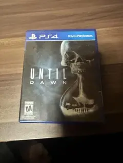 PS4 UNTIL DAWN 惨劇の山荘　北米版