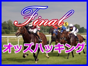 ＦＩＮＡＬオッズハッキング！的中率約７０％を安定的に叩き出す！付録ソフト付！完全オリジナル競馬ソフト ＪＲＡ 副業 サポート 初心者