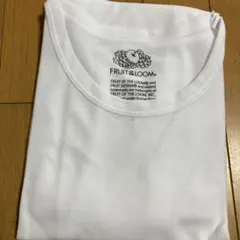 FRUIT OF THE LOOM ホワイト Tシャツ L 薄いメッシュ　下着に